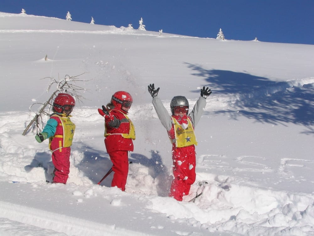 Children enjoying a ski lesson in the French Alps