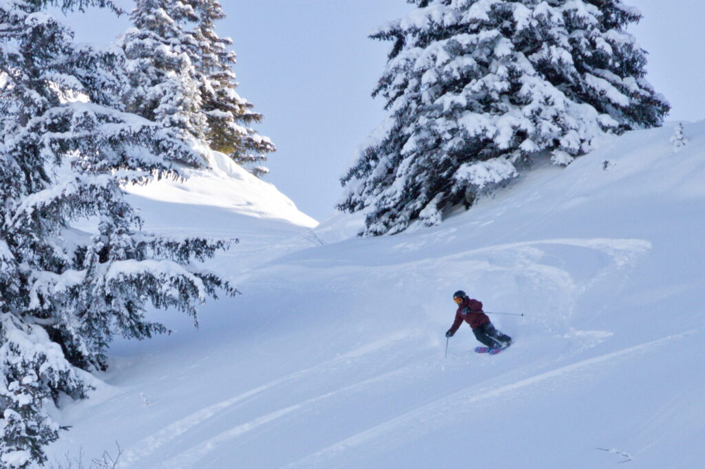 Skier carving through fresh powder between snow-covered trees in Morzine
