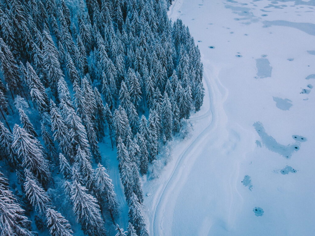 Aerial winter view across snow-covered forest and open slopes around Morzine