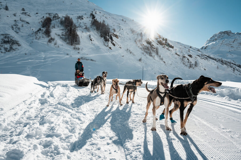 Dog sledding through the snowy mountain landscape of Val d'Isère. © Yann Allègre
