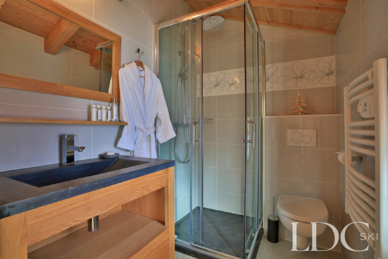 Modern bathroom with walk-in shower at Chalet Aralia